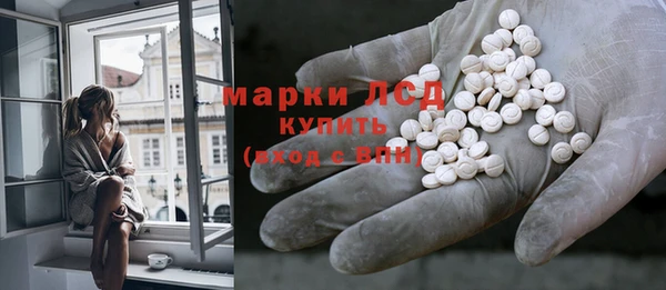 гашик Зеленокумск