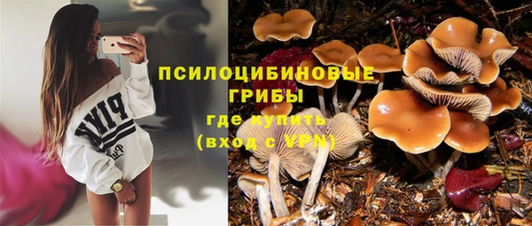 гашик Зеленокумск
