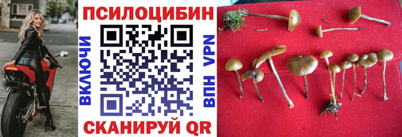 KRAKEN ссылка  наркота  Кашира  Псилоцибиновые грибы MAGIC MUSHROOMS 